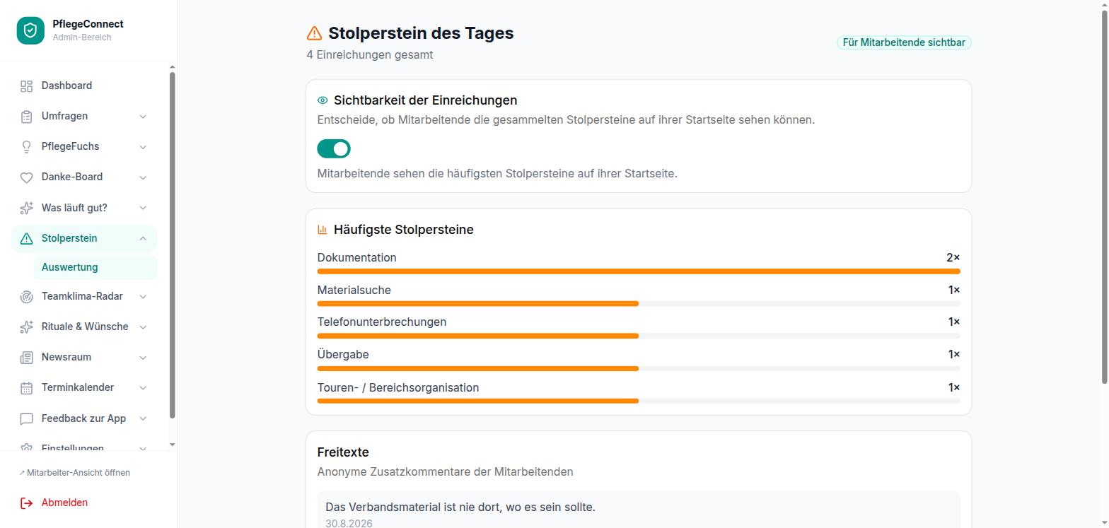 Auswertung der Stolpersteine mit Häufigkeiten und Freitexten